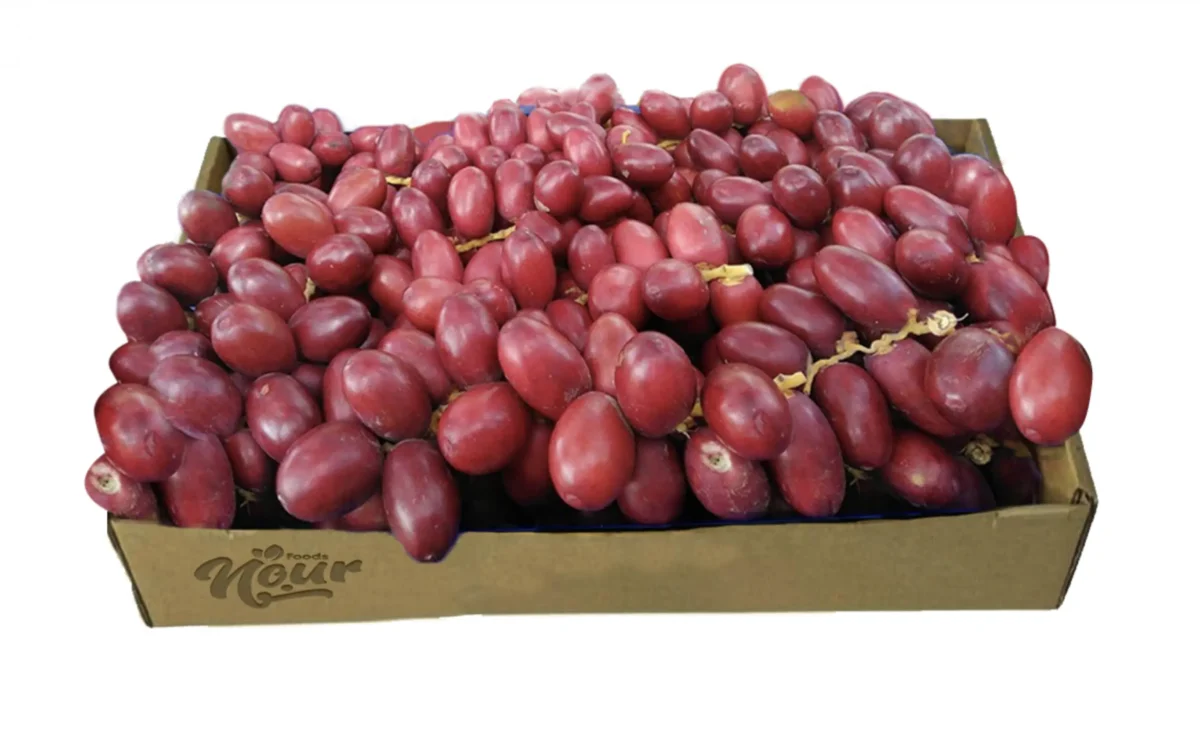 Zaghloul Dates 5kg - Image 1